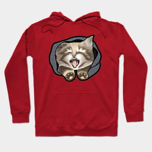 Cute sleepy cat Hoodie